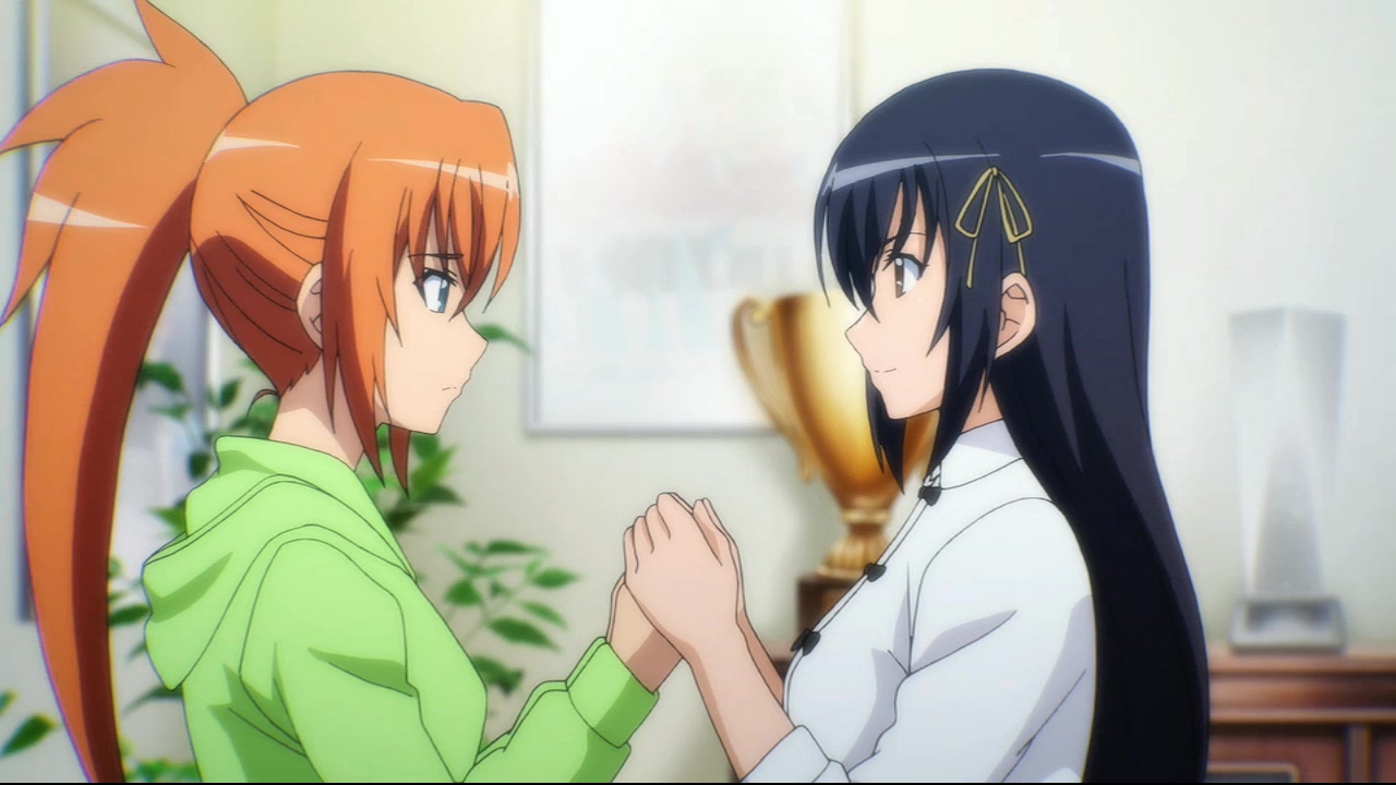 Sekai de Ichiban Tsuyoku Naritai! Anbient