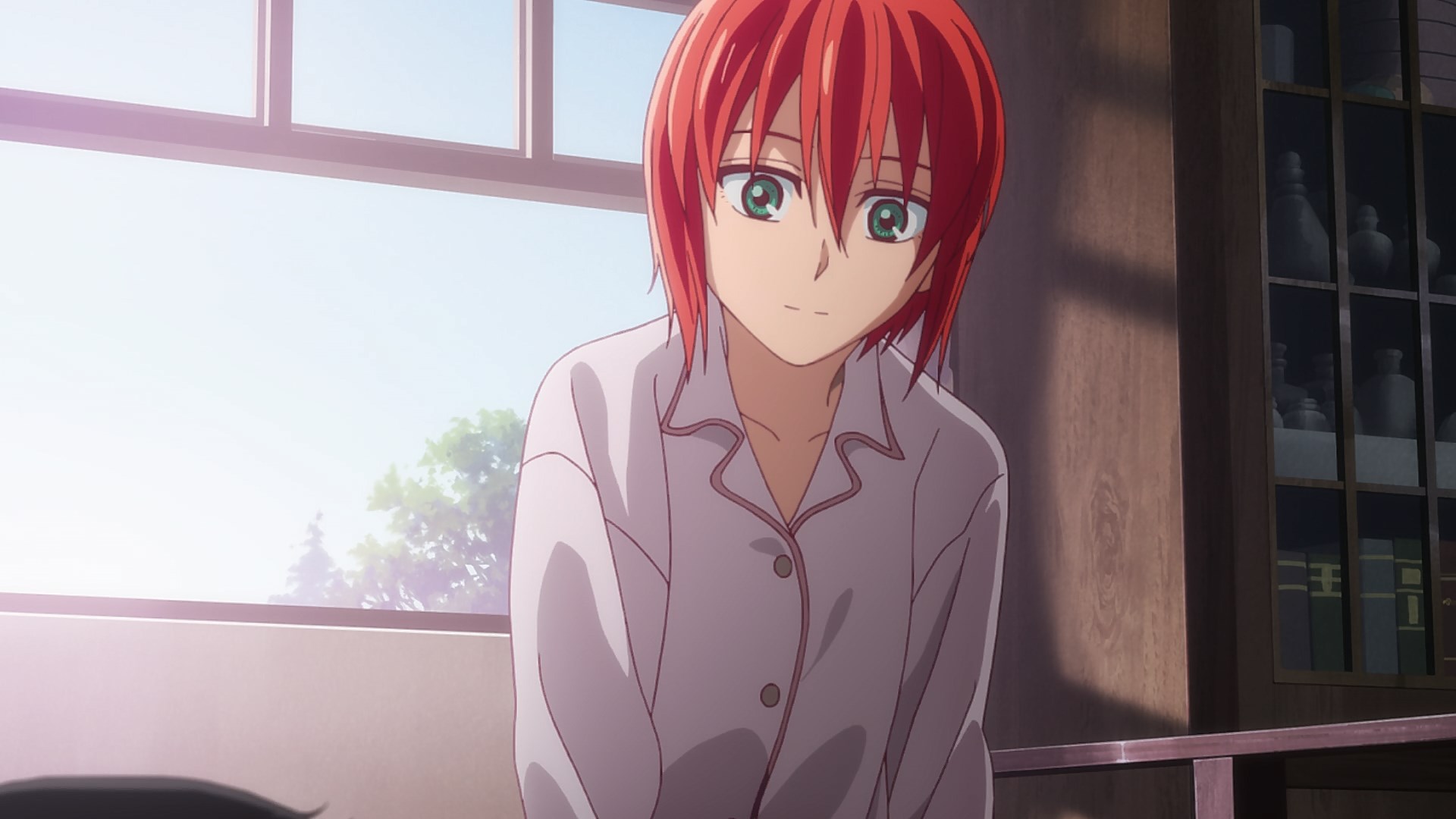 Mahoutsukai no Yome: Hoshi Matsu Hito | Anbient